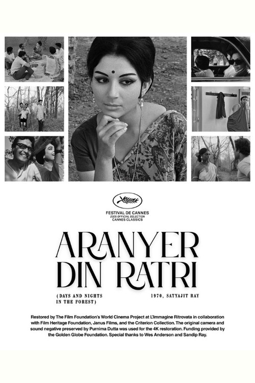 Days and Nights in the Forest