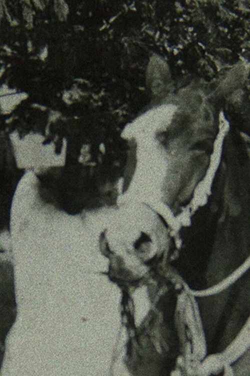 Once Upon a Time in Quizca