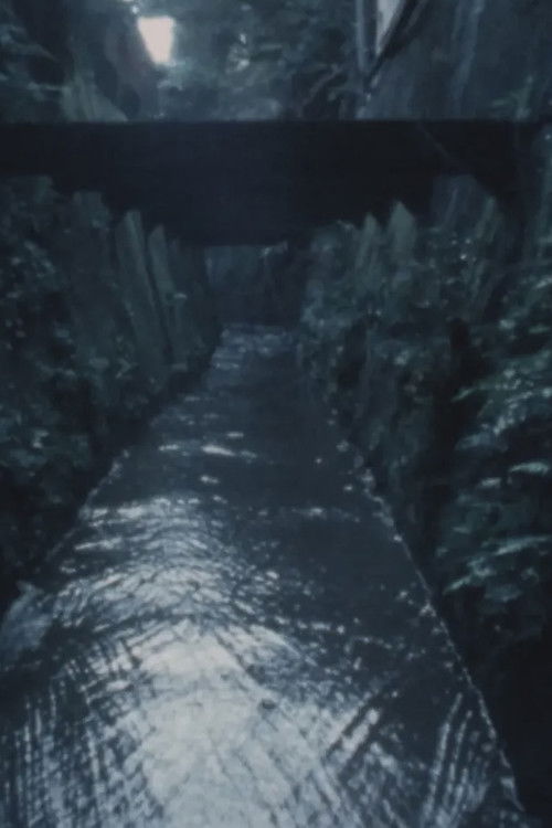 June Woods • July Swamp