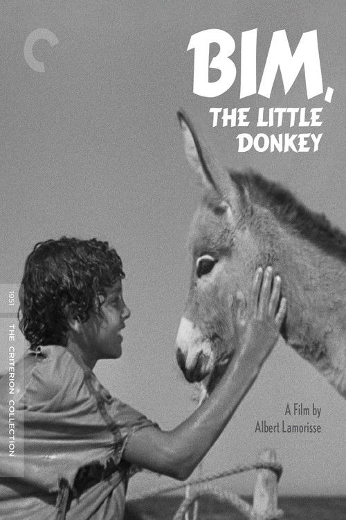 Bim, the Little Donkey