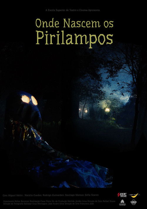 Where Fireflies Are Born