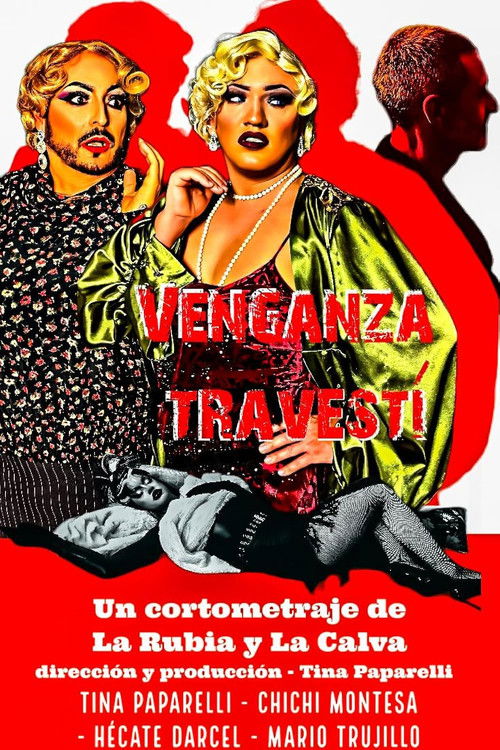 Venganza travestí