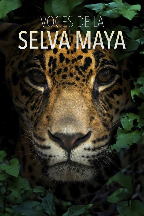 Voces de la Selva Maya: Una Batalla por la Vida