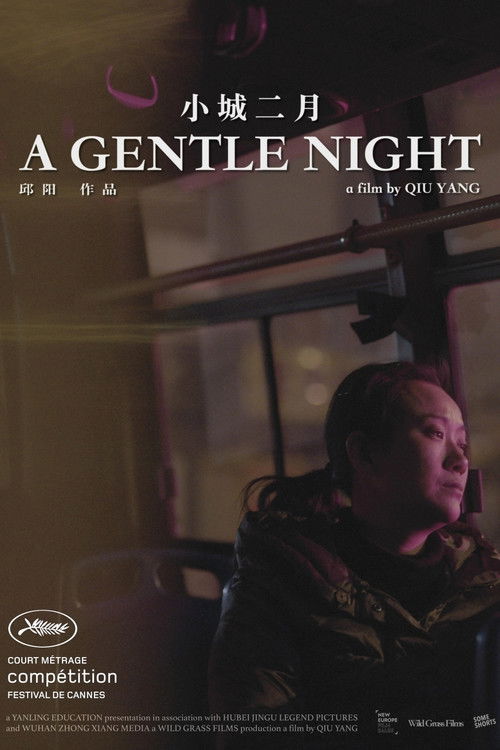 A Gentle Night