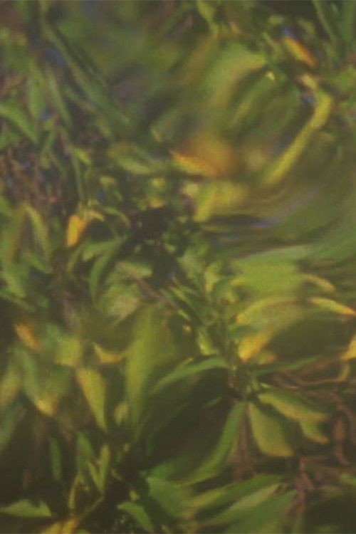 When Light is Displaced