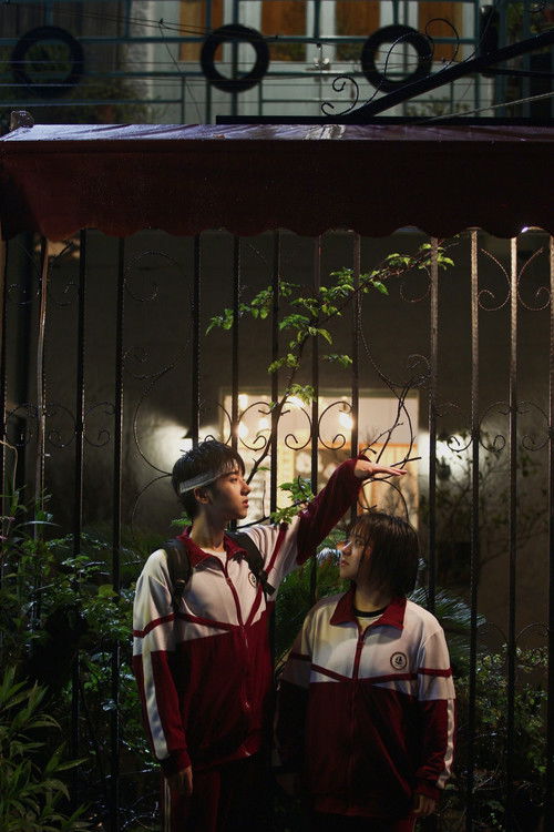 My First Love Is Secret Love