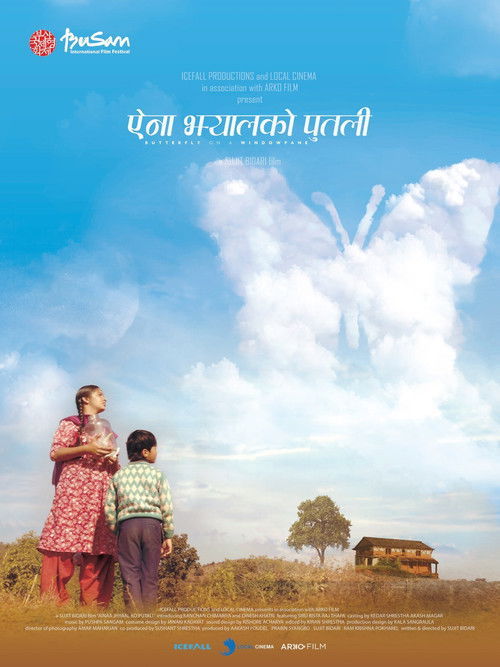 Butterfly on the Windowpane