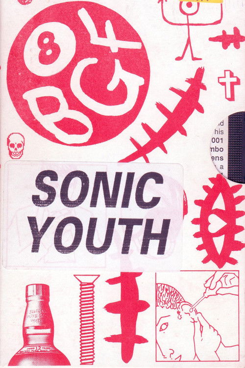 Sonic Youth: Blood on the Beach