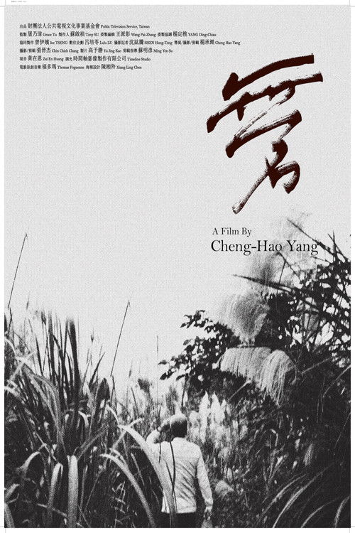 Echoes of the Forgotten