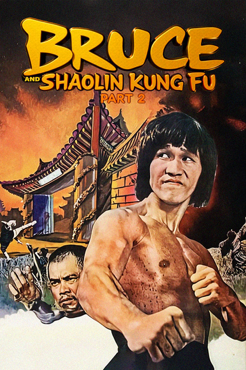 Bruce and Shaolin Kung Fu Part 2