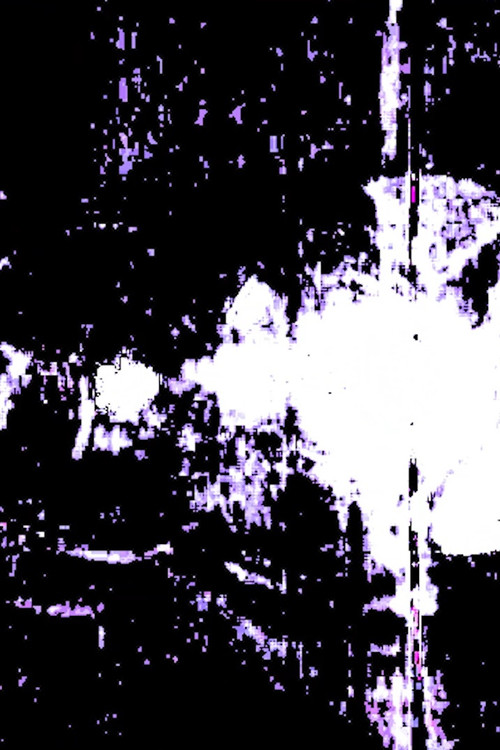 Op. 3 No. 2 - ossia cadenza (digital abrasion version)