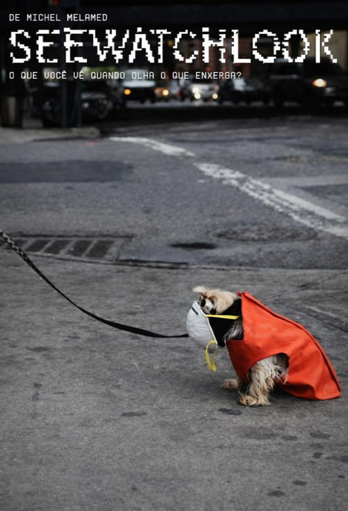 Seewatchlook – What Do You See When You Look at What You Watch?