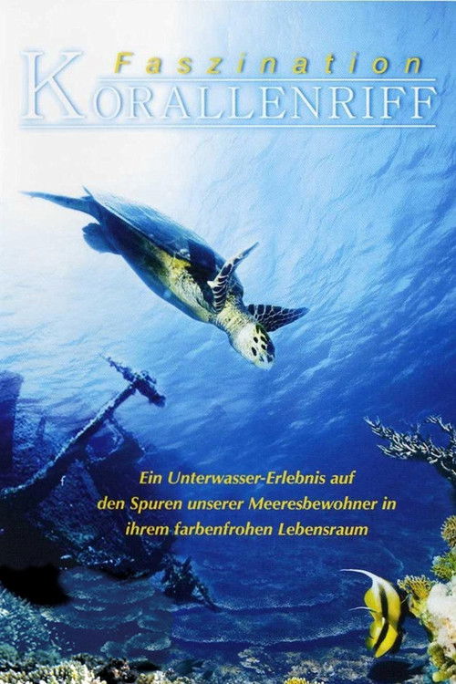 Fascination Coral Reef