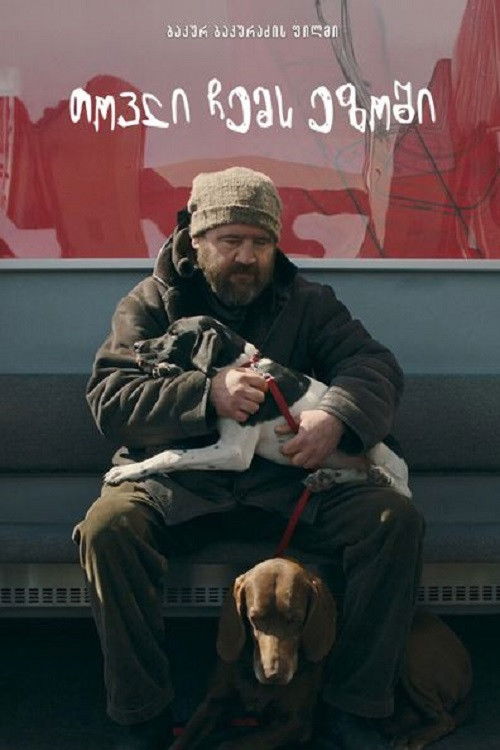 Snowflakes in my Yard