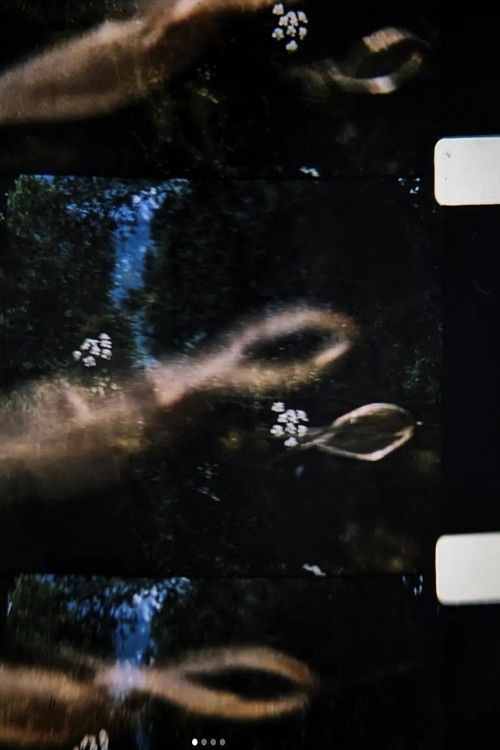 Dreams For Eva - Part 1