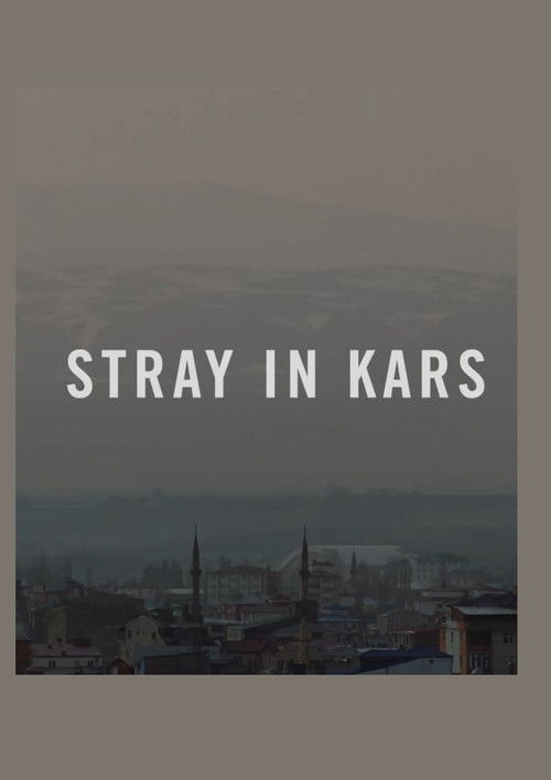 Stray in Kars