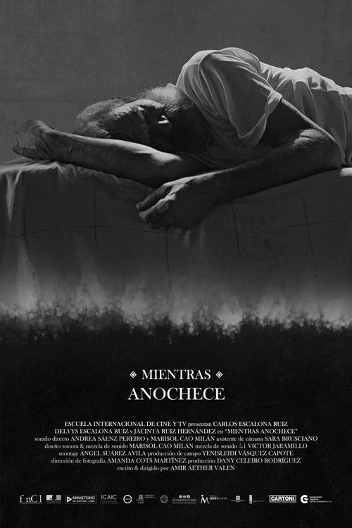 While The Night Falls