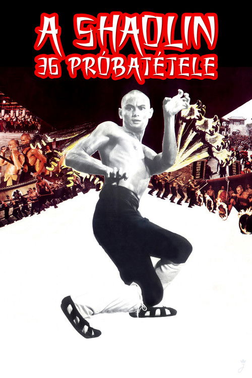 A Shaolin 36 próbatétele