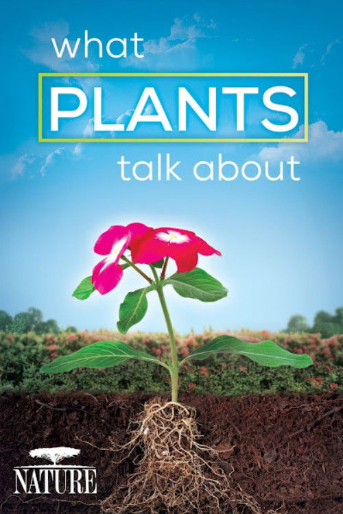 What Plants Talk About