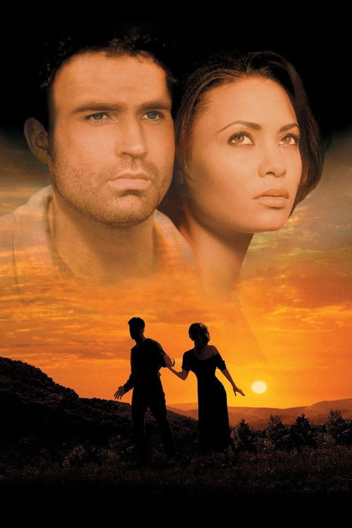 The Journey of August King