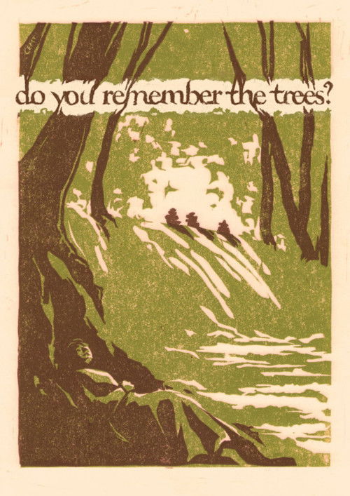 do you remember the trees?
