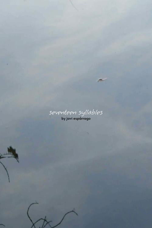 seventeen syllables