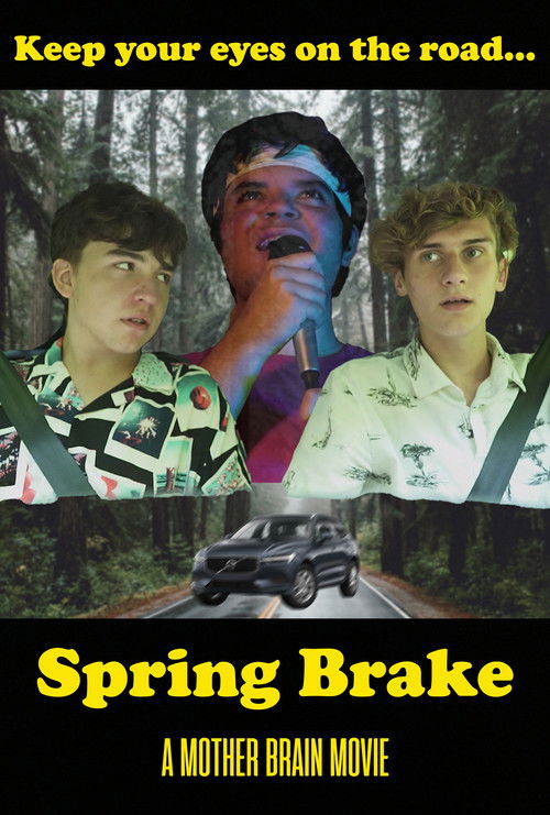 Spring Brake