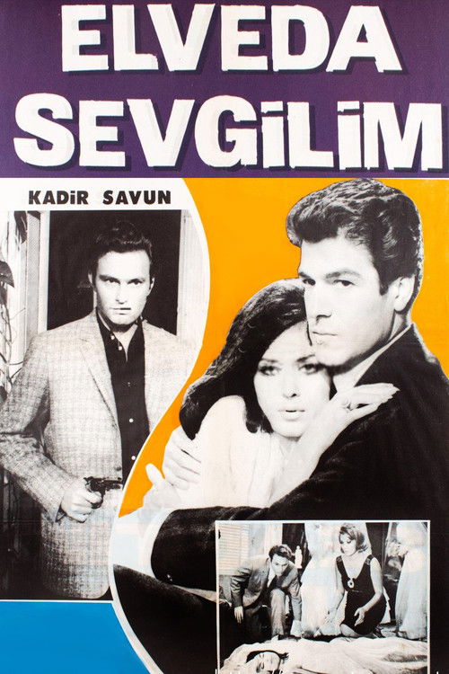 Elveda Sevgilim