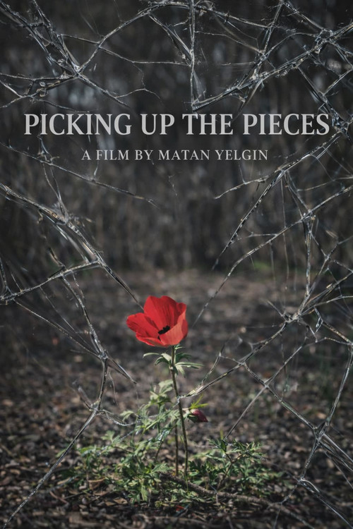 Picking Up the Pieces