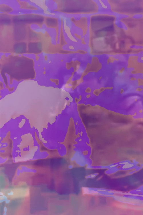 i‘m going to do it