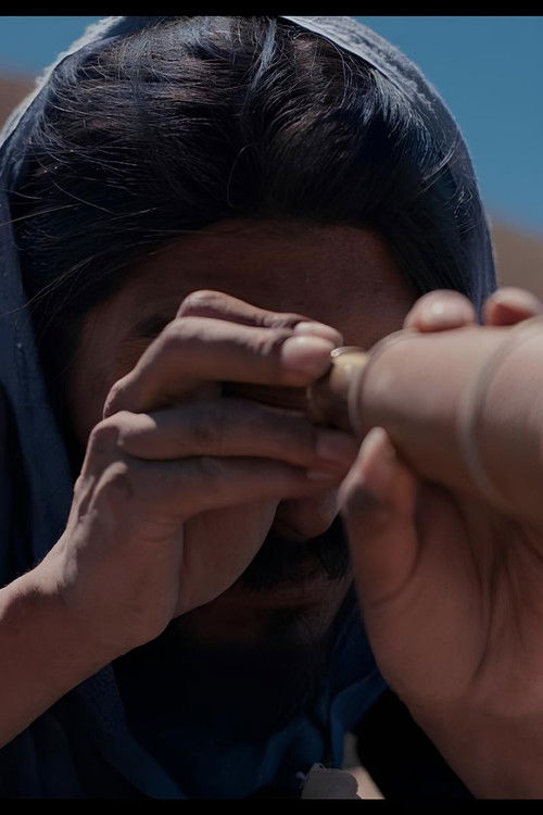 The Anatomy of the Horses