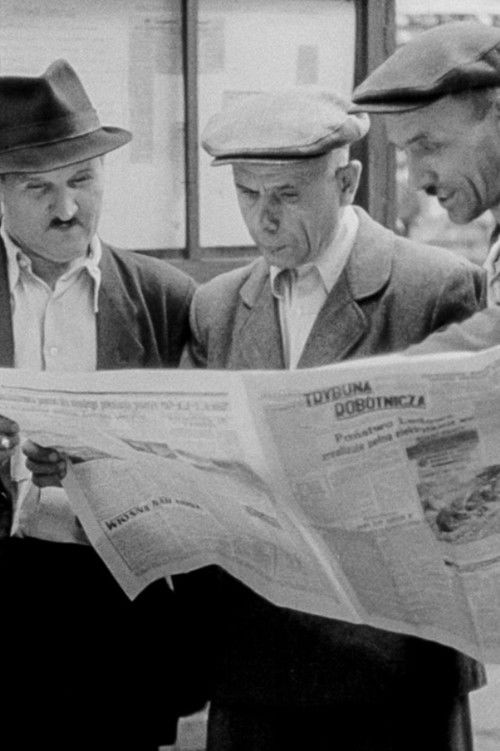 A Letter at the Editorial Office