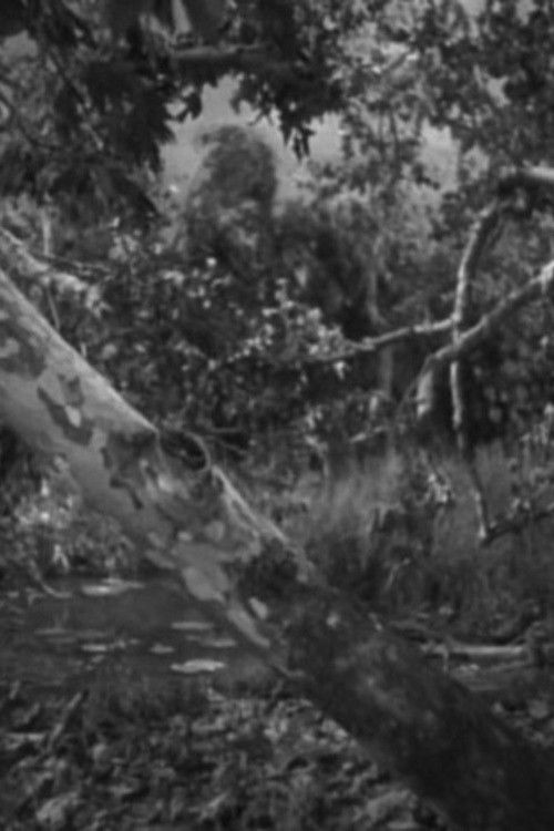 Went the night well?