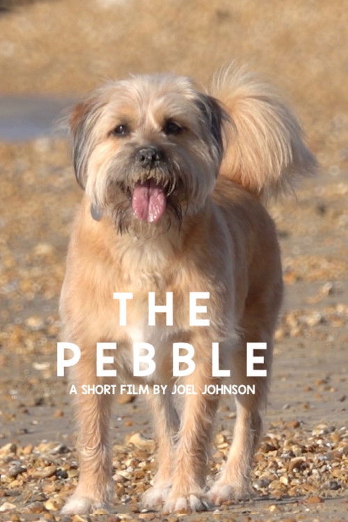 The Pebble