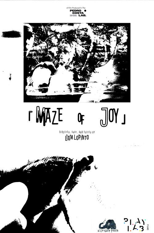 Maze of Joy