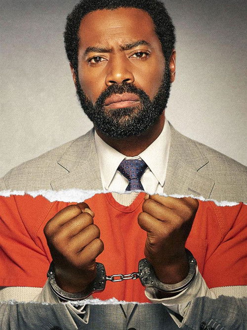 Életfogytig ügyvéd