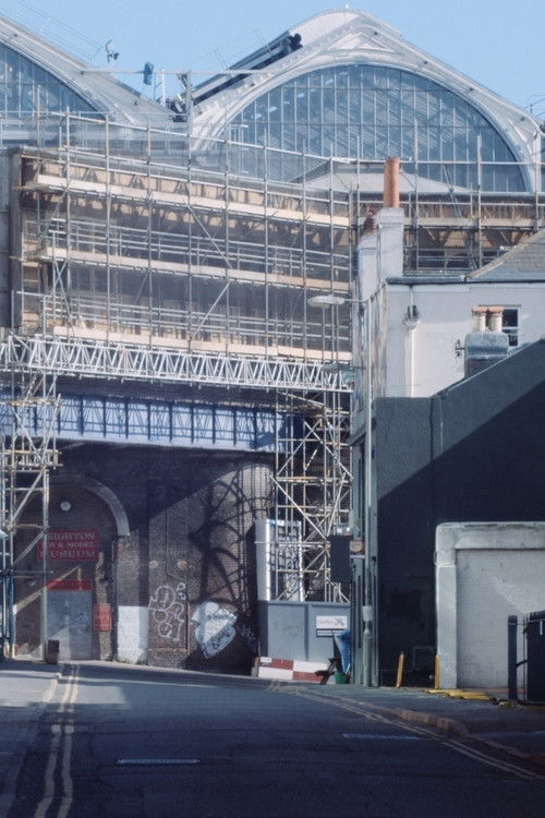 A Spring in Endless Bloom