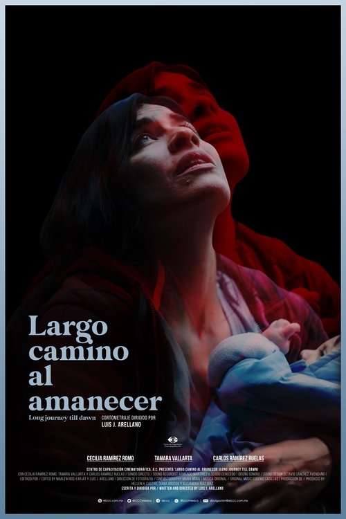 Long Journey Till Dawn