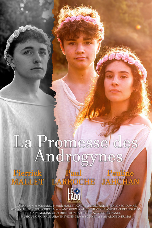 La Promesse des Androgynes