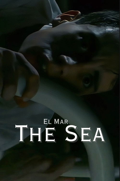 The Sea