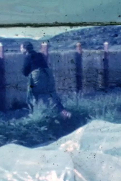 As We Forget, We Chase The Beginning