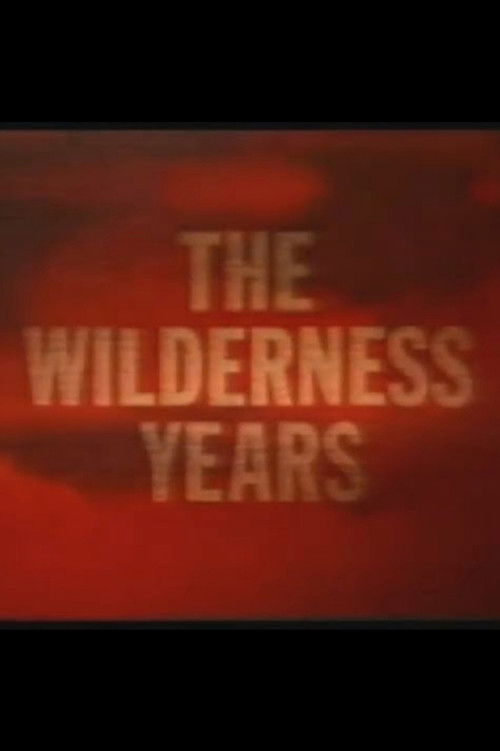 The Wilderness Years