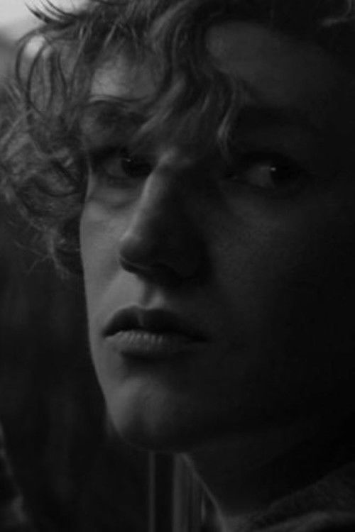 The Life Underground