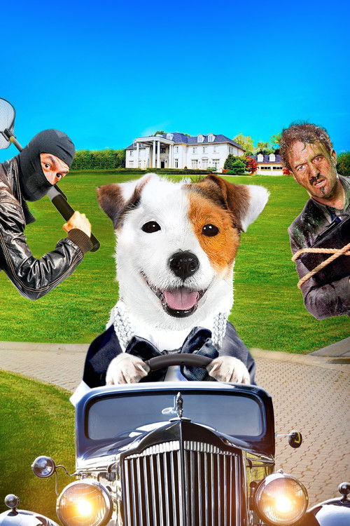 Pancho, a milliomos kutya