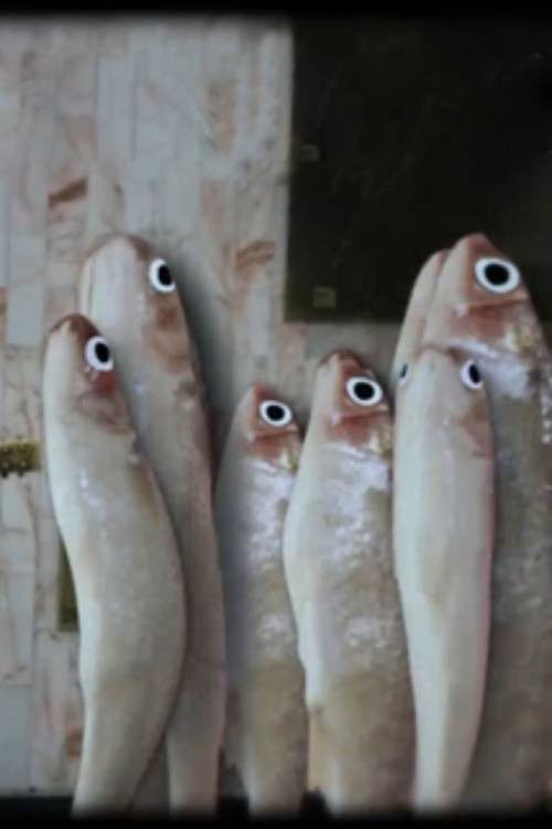 Antes de entrar permita salir