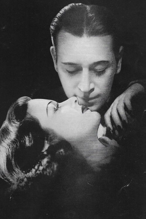 The House Across the Bay