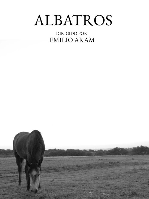 Albatross (Our Kingdom)