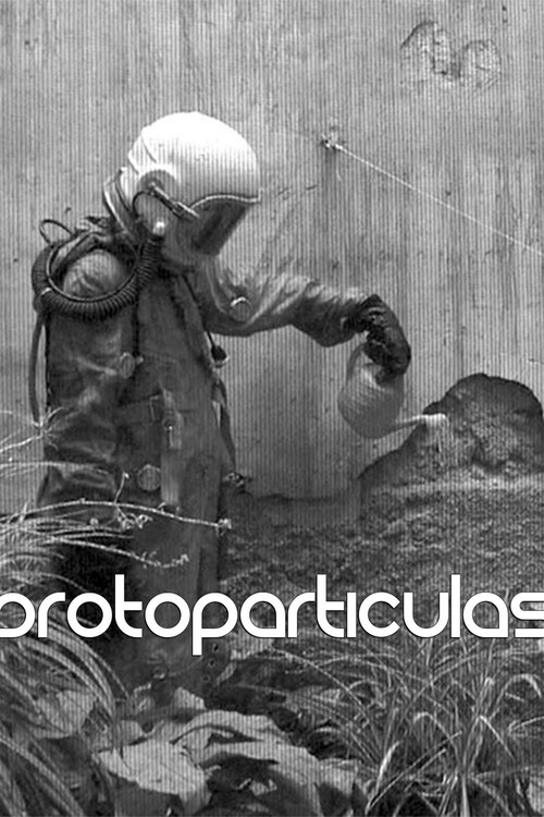 Protoparticles