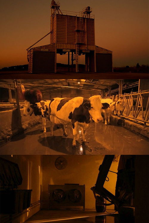 Rêvent-elles de robots astronautes?