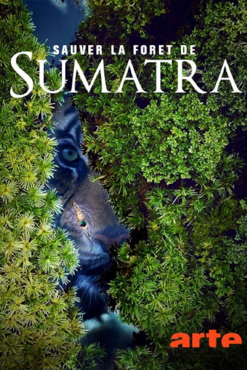 Save the Sumatran Forest